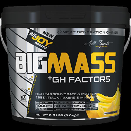 Big Joy Big Mass +GH Factors 3000 Gr muz