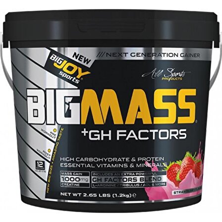 Bigjoy Big Mass +GH Factors 1200 Gr çikolata