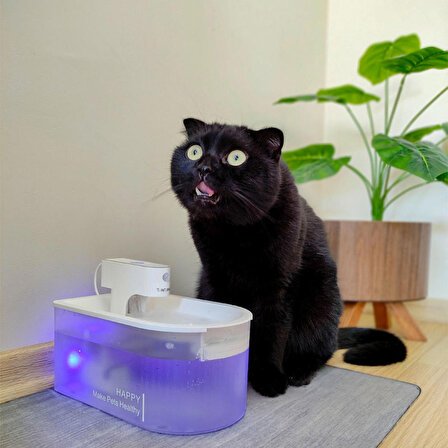 INTERNAL Otomatik Sensörlü Bataryalı Kedi Köpek Su Kabı