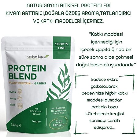 Naturiga Yeşil Protein Karışımı - Green Protein 250gr