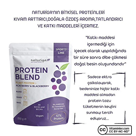 Naturiga Berry Protein Karışımı 250 Gr - ÇİLEK