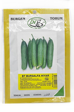 BT Bursalpha Salatalık Tohumu  10 gr