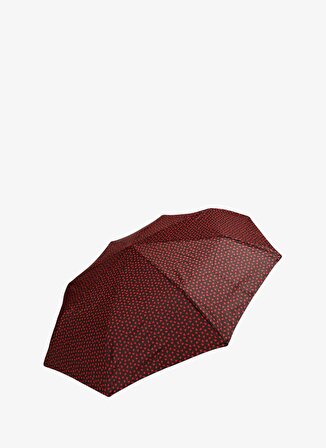 Zeus Umbrella Kadın Şemsiye 24BY4507
