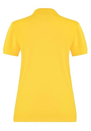 Basics&More Kadın Polo Yaka T-Shirt BM/2302