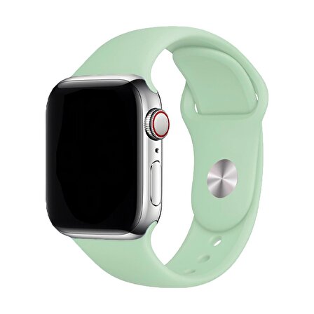 E2M CLASSIC SİLİKON Apple Watch Uyumlu KORDON 42/44MM FOS 