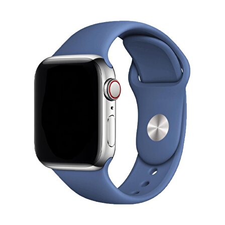 E2M CLASSIC SİLİKON Apple Watch Uyumlu KORDON 42/44MM MAV 