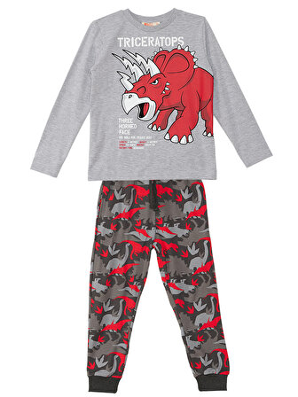 Triceratops Erkek Çocuk T-shirt Pantolon Takım