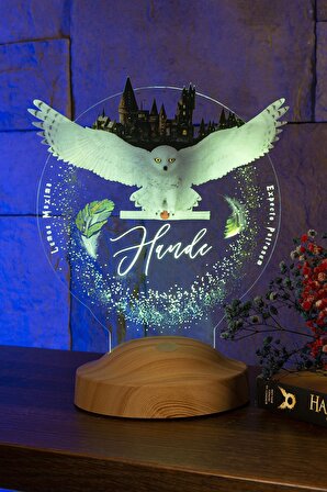 Sevgilambası Harry Potter Hogwarts Hedwig 3D Led Lamba, Hediye Baykuş Gece Lambası