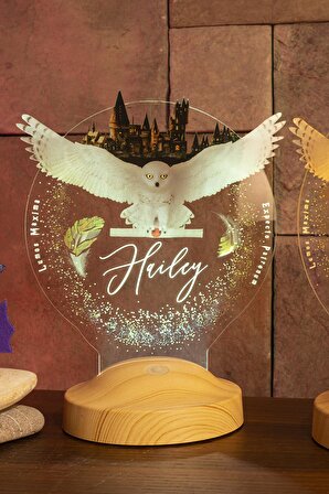 Sevgilambası Harry Potter Hogwarts Hedwig 3D Led Lamba, Hediye Baykuş Gece Lambası