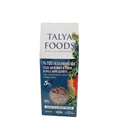 Talya Foods Talya Filizlenmiş Yeşil Mercimek Kinoa Kale Şehriye 200 gr
