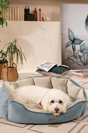 Yataş Üstü Açık Kaymaz Taban Krem - Mavi Küçük Irk Köpek Yatağı
