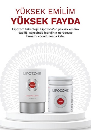 LIPOZONE DEMIR 17 MG 30 KAPSUL