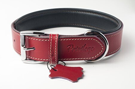 Hakiki Deri Köpek Boyun Tasması XS Kırmızı 2x29-37 cm