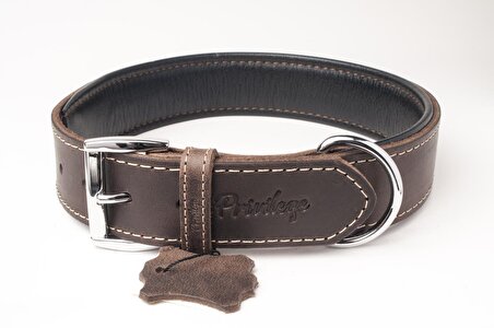 Hakiki Yağlı Deri Köpek Boyun Tasması XXS Koyu Kahverengi 2x22-30 cm