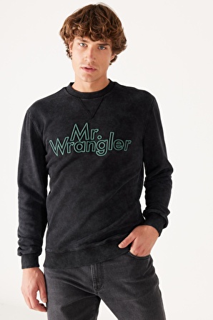 Regular Fit Normal Kesim %100 Pamuk Bisiklet Yaka Siyah Sweatshirt