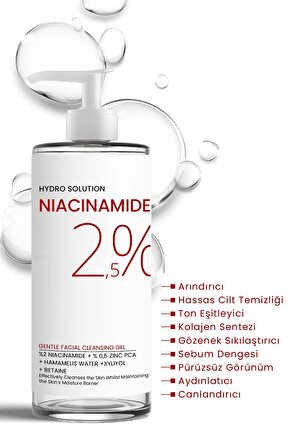 Hydro Solution %2 Niacinamide %0,5 Zinc Pca Temizleme Jeli 200 ml