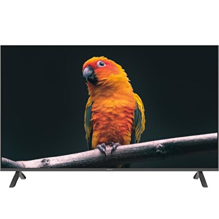 Sunny SN55FMN501 Frameless 4K Ultra HD 55" 140 Ekran Uydu Alıcılı Smart LED TV