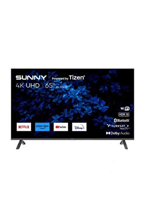 Sunny SN65FMN503 4K Ultra HD 65" LED TV