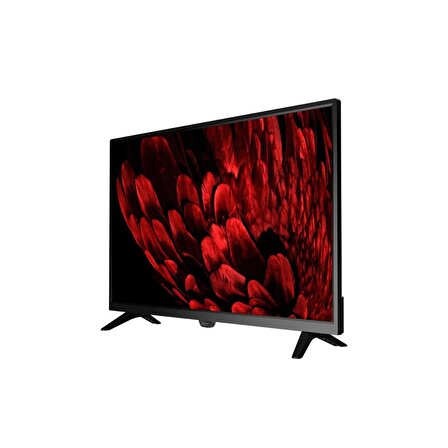 Axen AX32DAL540 32" 80cm HD Uydu Alıcılı webOS Smart LED TV