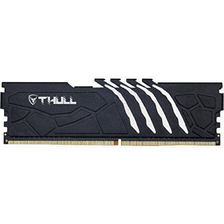 Thull Vortex 16GB 3200MHZ CL16 1.35V Black Heatsınk Ddr4 Ram THL-PCVTX25600D4-16G-B