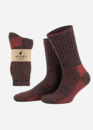 Unisex Alpaka Yünü Havlu Kışlık Kahve/kırmızı Soket Çorap - A-6005