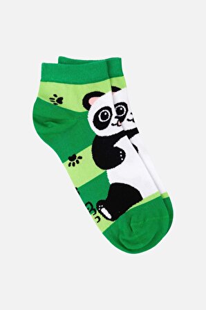 Mısırlı Kadın Pamuklu Panda Desenli Patik Çorap - M-PANDA-D1