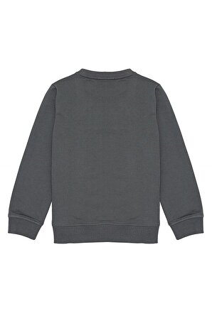  Erkek Çocuk Sweatshirt