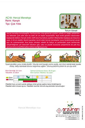 100 Adet Hercai Menekşe (Viola) Çiçek Tohumu 