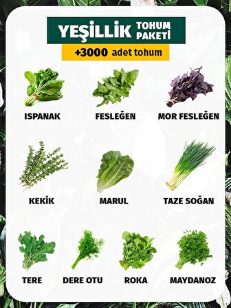 10 Çeşit Yeşillik Tohum Paketi 3000+ Tohum