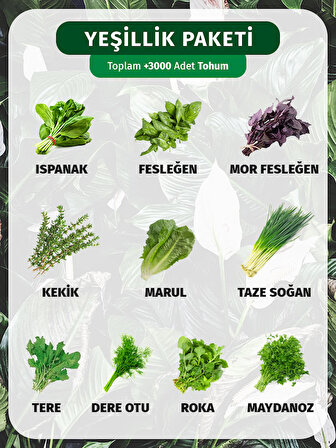 10 Çeşit Yeşillik Tohum Paketi 3000+ Tohum