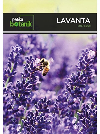 100 Adet Lavanta (Lavandula) Çiçek Tohumu 