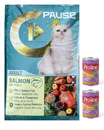 Pause Somonlu Yetişkin Kedi Maması 15 Kg + Konserve Hediyeli