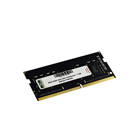 Ramtech 8GB DDR4 2666 MHz Notebook Ram