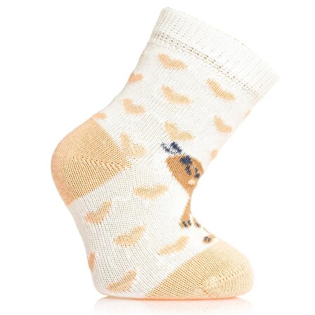 Be Cool Bolero desenli 5'li Soket Çorap Kız Bebek