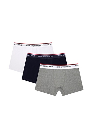 New World Polo Basic 3'lü Boxer Lacivert-Beyaz-Gri Slim Fit Boxer Set 23SSM1003