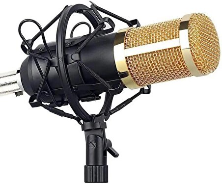Coverzone Profesyonel Mikrofon Paketi Stüdyo Kaydı Ve Brocasting İçin Youtuber Mikrofonu Seti Özelleştirilebilir El Tipi Çok İşlevli Kayıt Stüdyosu Mikrofonu Bm800
