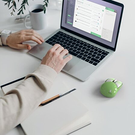 Mofii Wireless Mouse Renkli Tavşan Tasarım Kablosuz Sessiz Bilgisayar Notebook Laptop için USB Nano Receiver Mouse Tak Çalıştır 9.2cm x 6cm (Yeşil)