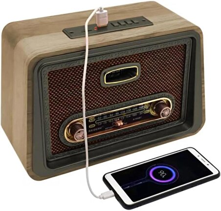 Coverzone Yeni Nesil Radyo USB SD FM Bluetooth Hoparlör Müzik Kutusu İç ve Dış Mekan Tatil Piknik Kullanıma Uygun Retro Şarj Edilebilir R-1952BT (Taba)