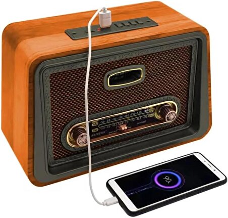 Coverzone Yeni Nesil Radyo USB SD FM Bluetooth Hoparlör Müzik Kutusu İç ve Dış Mekan Tatil Piknik Kullanıma Uygun Retro Şarj Edilebilir R-1952BT (Açık Kahverengi)