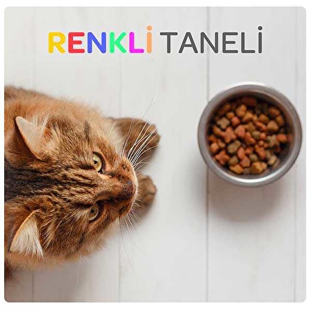 Luis Renkli Taneli Tavuklu Kedi Maması 15 KG