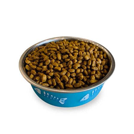 Obivan Low Grain Tavuk Etli Kedi Maması 1 kg