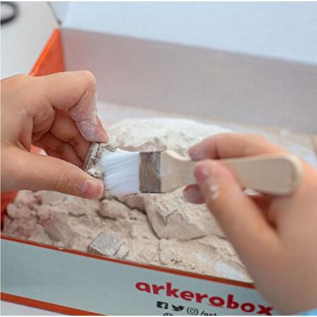 Arkerobox Truva Eğitici Kazı Seti | Koleksiyon Serisi