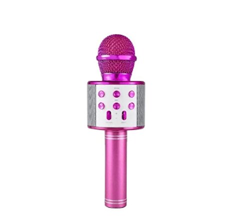 Torima WS 858 Karaoke Mikrofon Aux Usb Ve Sd Kart Girişli Bluetooth Hoparlör