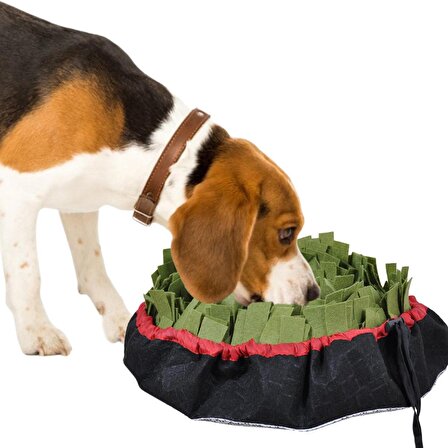 Köpek Oyun Ödül Maması Kabı Salatası