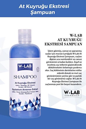W-Lab Kozmetik Hızlı Uzamaya Yardımcı Bakım Şampuanı 400 ML