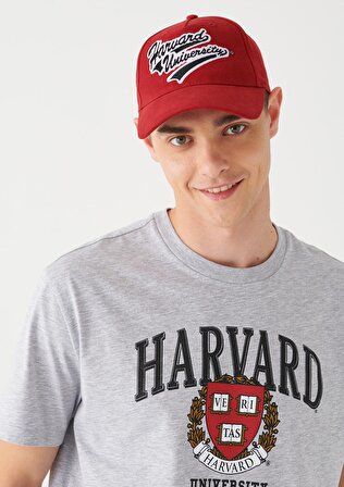 Harvard Baskılı Kırmızı Şapka 092896-34329