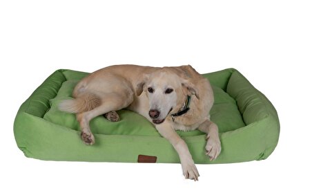 Peggy Luna XL Üstü Açık Koku Tutmaz Fıstık Yeşili Büyük Irk Köpek Yatağı