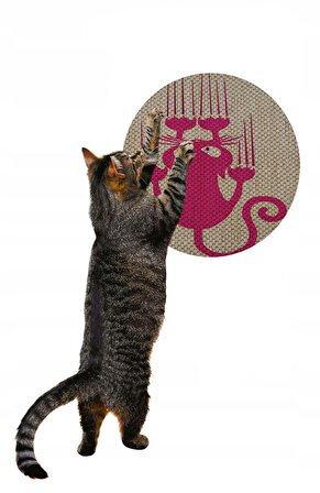 Glipet Desenli Çift Taraflı Kedi Tırmalama Paspası  Yuvarlak Pink 36*36 cm
