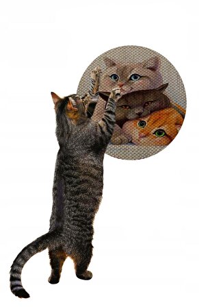 Glipet Desenli Çift Taraflı Kedi Tırmalama Paspası  Yuvarlak Three Cat 36*36 cm