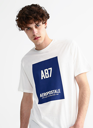 Aeropostale Bisiklet Yaka Baskılı Kırık Beyaz Erkek T-Shirt E-GREK